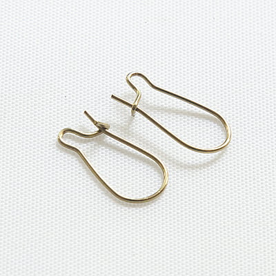 Kidney Ear Hook